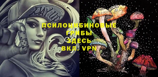 не бодяженный Магадан