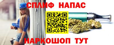 стафф Донецк