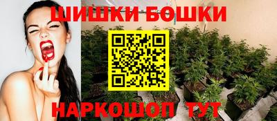 стафф Донецк