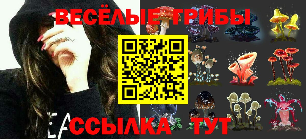 Галлюциногенные грибы ЛСД  Вход с VPN  Салават 